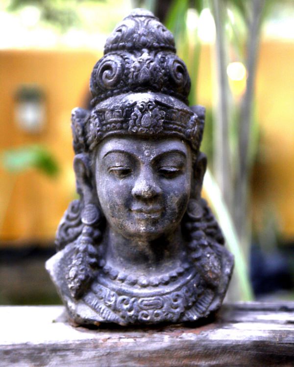 house of om idol 4